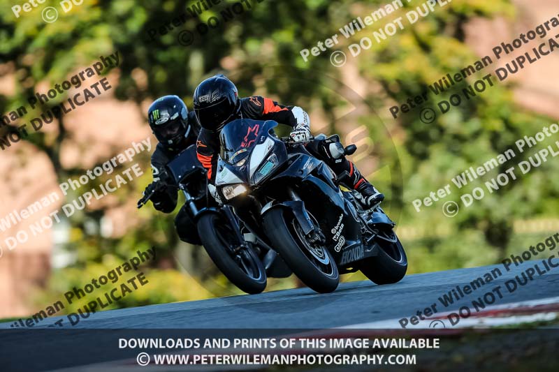 anglesey;brands hatch;cadwell park;croft;donington park;enduro digital images;event digital images;eventdigitalimages;mallory;no limits;oulton park;peter wileman photography;racing digital images;silverstone;snetterton;trackday digital images;trackday photos;vmcc banbury run;welsh 2 day enduro